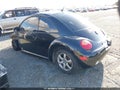 2000 Volkswagen Beetle — photo 3 of 10 | VIN 3VWCC21CXYM496228