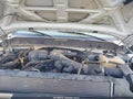 Photo 10 of 11 — 2013 Ford F-450