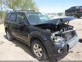 Photo 6 of 17 — 2010 Ford Escape