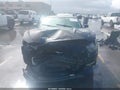 Photo 12 of 17 — 2015 Ford Mustang