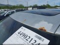 Photo 6 of 18 — 2015 Infiniti QX60