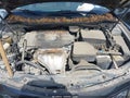 Photo 10 of 11 — 2010 Toyota Camry
