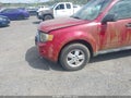 Photo 6 of 11 — 2010 Ford Escape