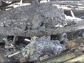 Photo 7 of 13 — 2002 Toyota 4Runner