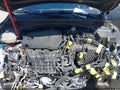 Photo 10 of 17 — 2023 Kia Sportage