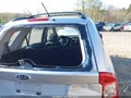 Photo 6 of 16 — 2008 Kia Rondo
