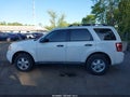 Photo 14 of 16 — 2010 Ford Escape