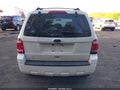 Photo 16 of 16 — 2010 Ford Escape