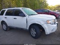 Photo 6 of 16 — 2010 Ford Escape