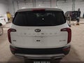 2021 Kia Telluride — photo 17 of 17 | VIN 5XYP5DHC0MG098520