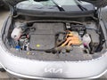 Photo 10 of 17 — 2023 Kia Niro