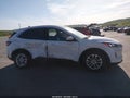 Photo 14 of 17 — 2020 Ford Escape