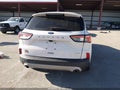 Photo 17 of 17 — 2020 Ford Escape