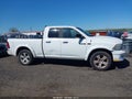 Photo 14 of 18 — 2010 Dodge Ram 1500