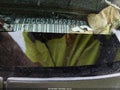 Photo 9 of 12 — 2002 Chevrolet S-10