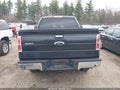 Photo 16 of 18 — 2014 Ford F-150