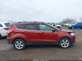 Photo 13 of 16 — 2014 Ford Escape