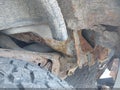 2003 Chevrolet Avalanche — photo 6 of 16 | VIN 3GNEK13T13G346223