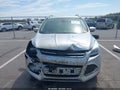 Photo 13 of 17 — 2014 Ford Escape