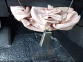 Photo 11 of 16 — 2013 Toyota 4Runner