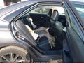 Photo 8 of 16 — 2016 Toyota Camry