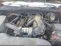 Photo 10 of 16 — 2011 Toyota Tacoma