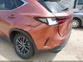Photo 6 of 16 — 2026 Lexus NX 350