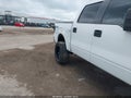 Photo 6 of 16 — 2010 Ford F-150