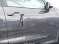 Photo 20 of 22 — 2019 Kia Niro