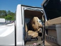 Photo 8 of 17 — 2015 Ford F-250