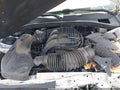 Photo 10 of 15 — 2023 Dodge Charger