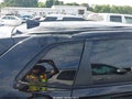 Photo 15 of 16 — 2026 Honda CR-V