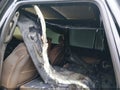 Photo 6 of 14 — 2023 Cadillac Escalade