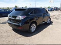 Photo 4 of 16 — 2010 Lexus RX 350