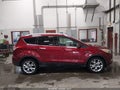 Photo 13 of 19 — 2016 Ford Escape