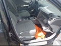 Photo 5 of 14 — 2010 Toyota Corolla