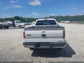 Photo 16 of 16 — 2014 Ford F-150