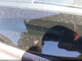 Photo 17 of 17 — 2016 Toyota Tacoma