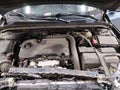 2019 Chevrolet Malibu Limited — photo 10 of 17 | VIN 1G1ZD5ST4KF113863