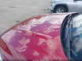 Photo 6 of 16 — 2017 Ford Escape
