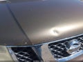 Photo 12 of 12 — 2005 Nissan Pathfinder