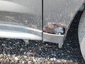 Photo 13 of 13 — 2012 Chevrolet Equinox
