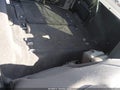 Photo 8 of 16 — 2021 Jeep Wrangler