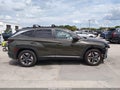 Photo 14 of 17 — 2025 Hyundai Tucson