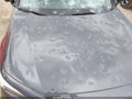 Photo 6 of 21 — 2025 Honda Civic