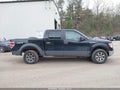 Photo 13 of 16 — 2010 Ford F-150