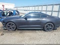 Photo 14 of 16 — 2022 Ford Mustang