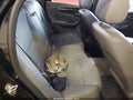 Photo 8 of 19 — 2017 Chevrolet Impala