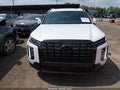 Photo 6 of 16 — 2024 Hyundai Palisade