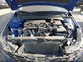 2021 Hyundai Elantra — photo 10 of 16 | VIN KMHLP4AG8MU143073